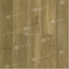Каменный ламинат SPC Alpine Floor Бук коллекция Classic Light ECO 141-88 MC