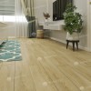 Каменный ламинат SPC Alpine Floor Classic Light ECO 135-66 MC Тисс