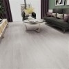 Каменный ламинат SPC Aspenfloor Trend TR2-01 Гамбург