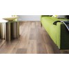 Ламинат Binyl PRO Fresh Wood / Warm Wood BP 1538 Дуб Аламос (Alamos Oak)