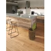 Ламинат Egger 2023 PRO Laminate Classic 33 класс 12 мм (Россия) EPL156 Дуб Азгил медовый