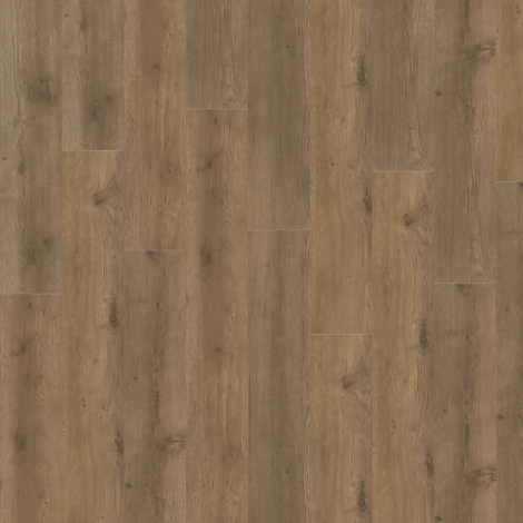 Каменный ламинат SPC Adelar Eterna 400087744 Major Oak 05855