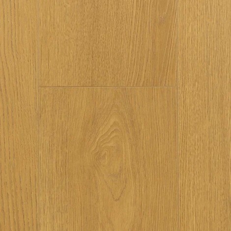 Ламинат Firstfloor Благородный матовый (Nobless matt) 1F322 Дуб Элкат (Eclat oak)