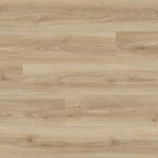 Ламинат Kaindl Дуб Кордоба Крем (Oak Cordoba Crema) коллекция Natural Touch Premium Plank K2241
