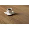 Ламинат Kronopol Mars Platinium 3746 Apollon Oak
