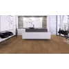 Ламинат Kronopol Platinium Luna 3105 Дуб Римини