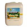 Средство по уходу за лакированным паркетом Berger Everclear (Германия) полуглянцевое 5 л