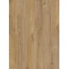 ПВХ плитка для пола Quick-Step Alpha Vinyl Дуб хлопковый натуральный (Cotton oak natural) коллекция Bloom AVMPU40104