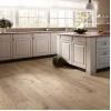 Ламинат Quick-Step Elite UE1492 дуб беленый медиум