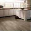 Ламинат Quick-Step Impressive IM1851 дуб Деревенский