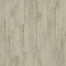 Ламинат Tarkett Gallery 504425008 Rembrandt Ламинат Tarkett Gallery 504425008 Rembrandt